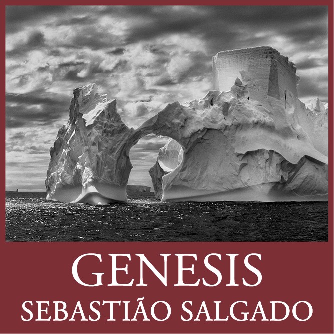 genesis-expo